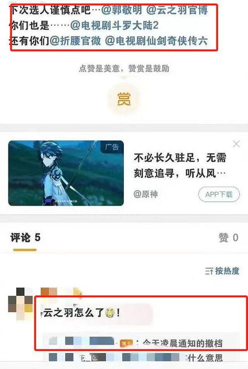 云之羽最新爆料消息,揭秘神秘事件背后的惊人真相！